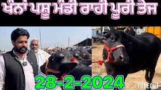 ਖੰਨਾਂ ਪਸ਼ੂ ਮੰਡੀ ਰਾਹੀ ਪੂਰੀ ਤੇਜ 28-2-2024