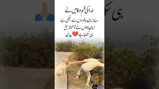 Sabak Hi Sikhaya hai 🥺🙏Urdu Quotes | Beautiful Golden Words | Wafadari | Famous Words Aqwal #shorts