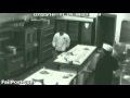 Chef Freaks Out