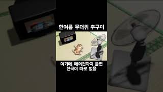 한 여름 추구미