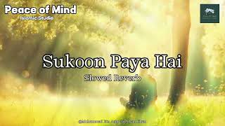 Heart Touching Emotional Nazam | Beautiful Lyrics | Slowed Reverb | Peace of Mind Islamic Studio