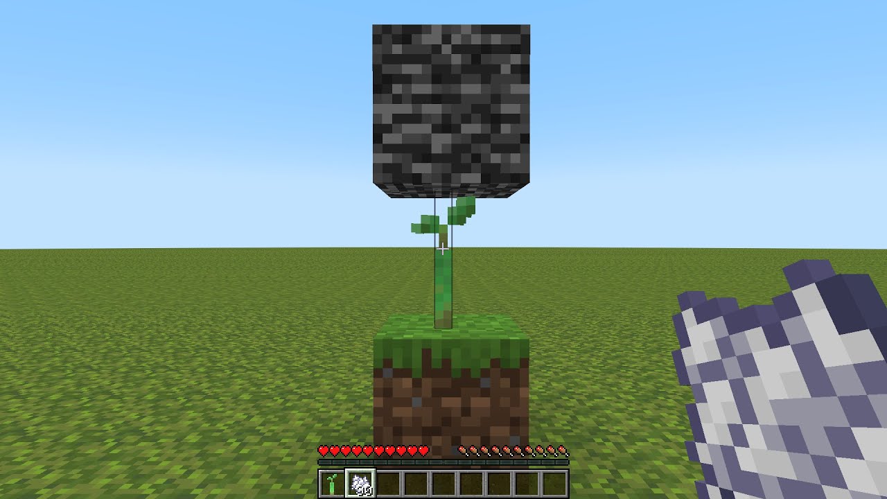 Mangrove trees break bedrock