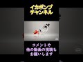 【スプラトゥーン2】延長中のヤグラリレーで逆転勝利！ shorts