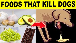 22 Common Foods That Will Kill Your Dog !