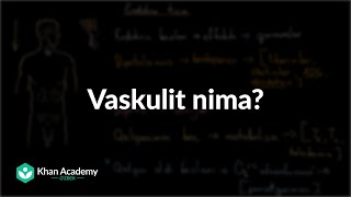 Vaskulit nima? | Vaskulit | Tibbiyot