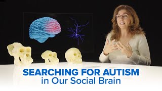 Searching for Autism in our Social Brain