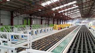 Work in Kiwifruit Packhouse in New Zealand