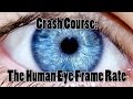 How Many FPS Can Your Eye See?