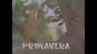 Vinheta Primavera 1993 - TV Paranaense (RPC)