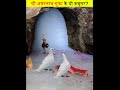 क्या आज भी जिन्दा है अमरनाथ के कबूतर? 😲 Amarnath Dove #D2 Facts #shorts #dove