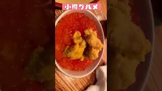 【小樽グルメ】味の宝石箱や～！#shorts #北海道 #小樽 #山田屋 #うに #いくら