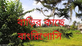 বাড়ির কাছে বাংরিপোসি #bangriposi #orrisa