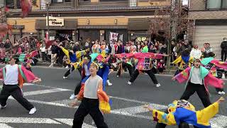 MAIYA★エンディング演舞★／第25回 瑞浪バサラカーニバル【本祭】（2024/12/15）@公園通線北会場