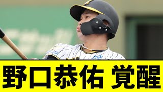 【阪神】野口恭佑、大谷レベルに覚醒ｗｗｗ【2chスレ】