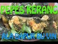 pepes kerang ala dapur bu Vin