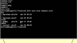 Lesson4_8.Comparing Files.mov