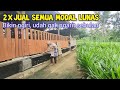 Untung Berlipat, inilah Hasil Ternak Kambing Selama 2 Th Dengan modal 26 Ekor indukan