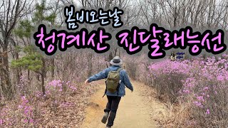 봄비 오는날 청계산 진달래 능선 hiking Cheonggyesan, Seoul