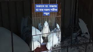 সকালে 10 বার সন্ধ্যায় 10 বার দরুদ শরীফ পড়ুন #islamicshortvideo #wazbangla #banglaislamicwaz #