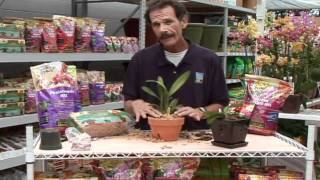 EOG Better-Gro EP198b Orchids Lowe's