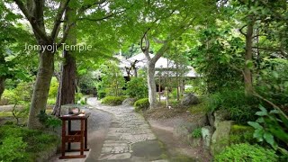 【鎌倉散歩】浄妙寺：喜泉庵、石窯ガーデンテラスへ［4K］