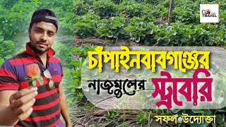 Strawberry !! স্ট্রবেরি ফল !! আমের রাজধানী !! চাঁপাইনবাবগঞ্জ !!! বাংলাদেশ !!!