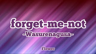 Flower - forget-me-not ~Wasurenagusa~ (Romaji/English)