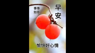 【囍結善緣2023年02月09日】