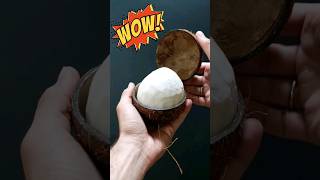 COCCO, COME APRIRLO, IN UN MINUTO, SENZA ROMPERLOTRUCCO INCREDIBILE #coconut #truck #viral #garden