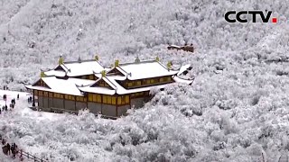 四川阿坝：黄龙景区迎降雪 银装素裹美不胜收 |《中国新闻》CCTV中文国际