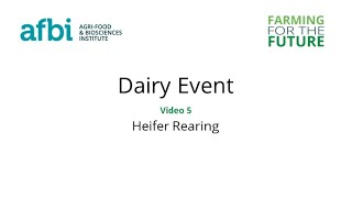 AFBI Dairy Open Day - Heifer Rearing