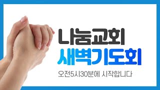 2024.2.17(토) 나눔교회 새벽기도회 안경민목사 / 막14:66~72 오만함과 실패를 씻어내는 참회의 눈물