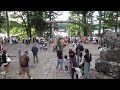 巻揚（2023年 若宮八幡神社例大祭）