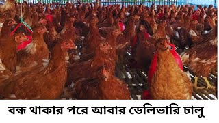 বন্ধ থাকার পরে আবার ডেলিভারি চালু #FA_Agro_Farm #লেয়ার_মুরগি #পুলেট_লেয়ার_মুরগি