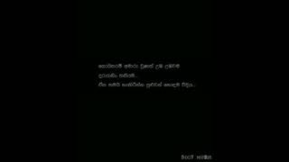 New sinhala whatsapp status videos/New sinhala wadan tik tok wadan videos