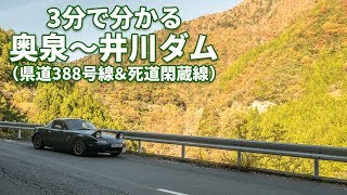 【3分峠】静岡県道388号線＆死道閑蔵線 ～大井川鐵道の秘境駅や井川ダムへのアクセス死道～