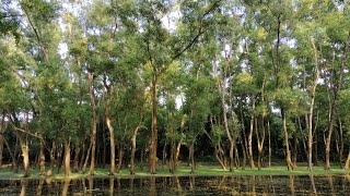 আলতাদিঘী জাতীয় উদ্যান, নওগাঁ