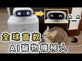 【開箱】全球首款智能寵物陪伴機械人🐱陪主子玩➕紀錄生活➕餵食👊HHOLOVE O Sitter📦機械人360°追蹤貓咪❗️短途旅行好幫手👍餵貓｜貓咪好物｜寵物用品｜人工智能｜Unboxing｜Cat