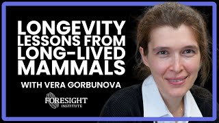 Vera Gorbunova | Mechanisms of longevity Lessons from Long-Lived Mammals