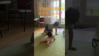 【生後262日目】まるちゃん(日々成長中)#baby #赤ちゃん #ダウン症 #downsyndrome #生後8ヶ月