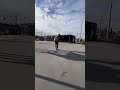 wizarding on my dragon s 5x76 nnskates inlineskating wizardskating rollerblading urbanskating