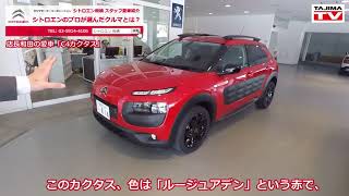 C4カクタス/C4クーペVTS スタッフ愛車紹介：シトロエン板橋 クルマ情報 Citroen