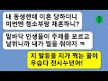 [꿀꿀극장] 5년전 날 바람핀 여자로 몰아서 이혼시킨 전시누이가 내가 청소부랑 결혼한다는 착각을 하고 결혼식에 기어들어서 말도 안되는 짓을 하는데…