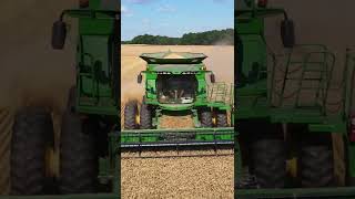 Medlin Farms Wheat Harvest #Shorts