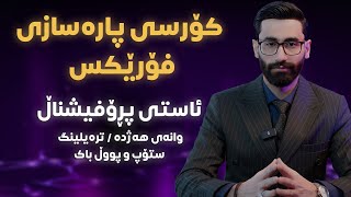 ئاستی پڕۆفیشناڵ / وانەی هەژدە \