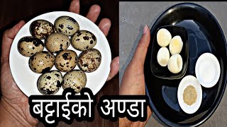 बट्टाईको अण्डा पकाउने सही तरिका  …😋😋 || Quail Egg Recipe || Battai ko Anda|Amar Panchhi Food World