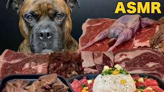 【大食い犬ルーティン】生肉食べまくりの飲みまくり7選総集編1【ASMR】 　Dog eats raw meat and bones