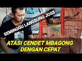 CARA MENGATASI CENDET MBAGONG, NGEMBUNG, MBALON DAN MACET BUNYI, ampuuhhhh