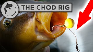 How To Tie A Chod Rig for Carp Fishing