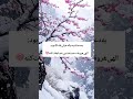 🩷✨ خدا آرامش توکل امیدبخش